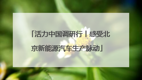 活力中国调研行丨感受北京新能源汽车生产脉动