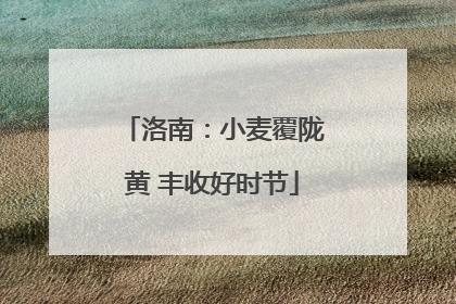 洛南：小麦覆陇黄 丰收好时节
