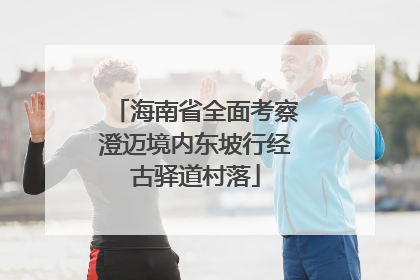 海南省全面考察澄迈境内东坡行经古驿道村落