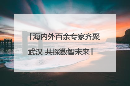 海内外百余专家齐聚武汉 共探数智未来