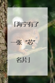 海宁有了一张“芯”名片