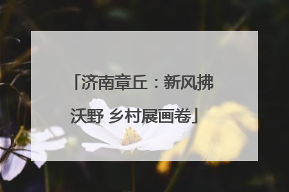 济南章丘：新风拂沃野 乡村展画卷