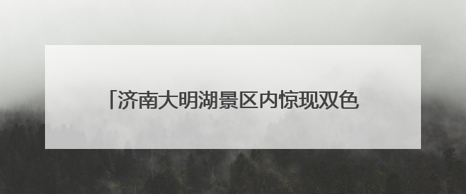 济南大明湖景区内惊现双色莲，游客直呼“好运莲莲”