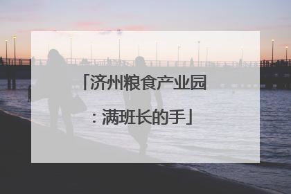 济州粮食产业园：满班长的手