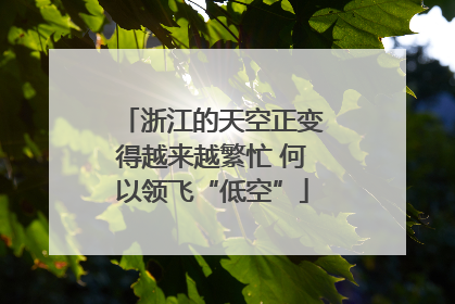 浙江的天空正变得越来越繁忙 何以领飞“低空”