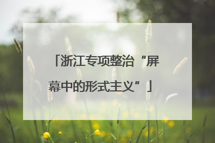 浙江专项整治“屏幕中的形式主义”