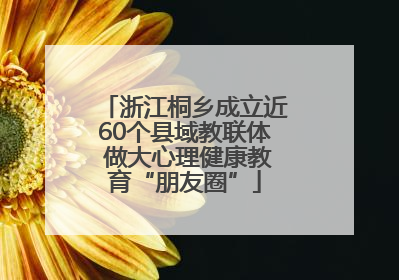浙江桐乡成立近60个县域教联体 做大心理健康教育“朋友圈”