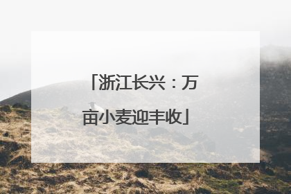 浙江长兴：万亩小麦迎丰收