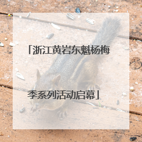 浙江黄岩东魁杨梅季系列活动启幕