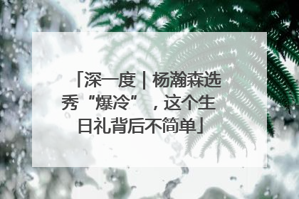 深一度｜杨瀚森选秀“爆冷”，这个生日礼背后不简单