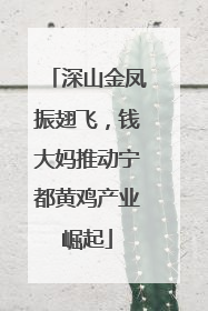 深山金凤振翅飞，钱大妈推动宁都黄鸡产业崛起