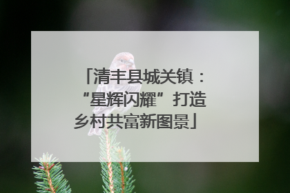 清丰县城关镇：“星辉闪耀”打造乡村共富新图景