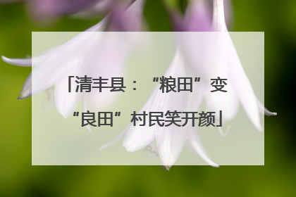 清丰县：“粮田”变“良田”村民笑开颜