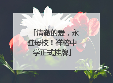清澈的爱，永驻母校！祥榕中学正式挂牌