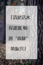 清淤活水保灌溉 畅通“血脉”助振兴