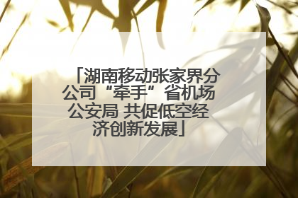 湖南移动张家界分公司“牵手”省机场公安局 共促低空经济创新发展