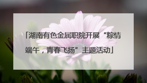湖南有色金属职院开展“粽情端午，青春飞扬”主题活动