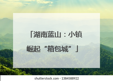 湖南蓝山：小镇崛起“箱包城”