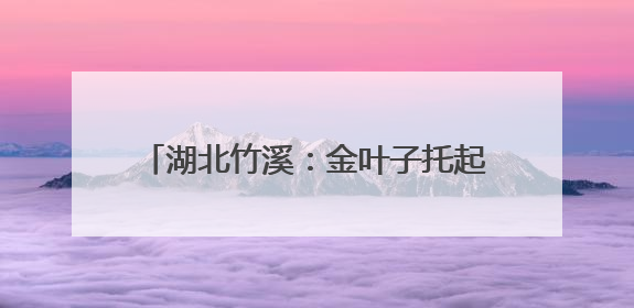 湖北竹溪：金叶子托起田埂上的“致富经”