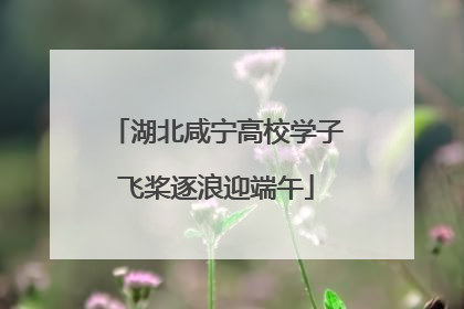 湖北咸宁高校学子飞桨逐浪迎端午