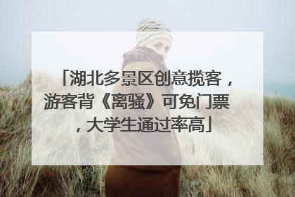湖北多景区创意揽客，游客背《离骚》可免门票，大学生通过率高