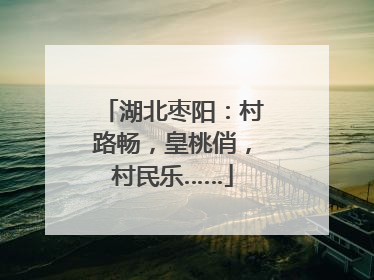 湖北枣阳：村路畅，皇桃俏，村民乐……