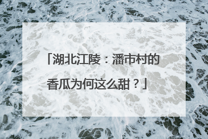 湖北江陵：潘市村的香瓜为何这么甜？