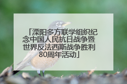 溧阳多方联学组织纪念中国人民抗日战争暨世界反法西斯战争胜利80周年活动