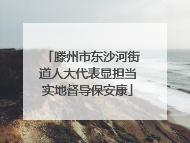 滕州市东沙河街道人大代表显担当实地督导保安康