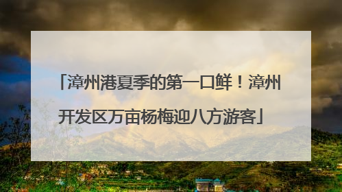 漳州港夏季的第一口鲜！漳州开发区万亩杨梅迎八方游客