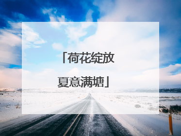 荷花绽放 夏意满塘