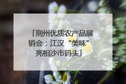 荆州优质农产品展销会：江汉“美味”亮相沙市码头