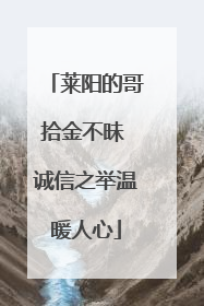 莱阳的哥拾金不昧 诚信之举温暖人心