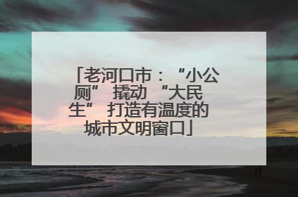 老河口市：“小公厕” 撬动 “大民生” 打造有温度的城市文明窗口