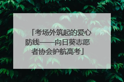 考场外筑起的爱心防线——向日葵志愿者协会护航高考