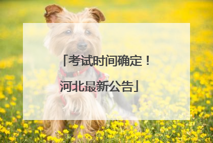 考试时间确定！河北最新公告
