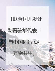 联合国开发计划署驻华代表：与中国同行 促万物共生