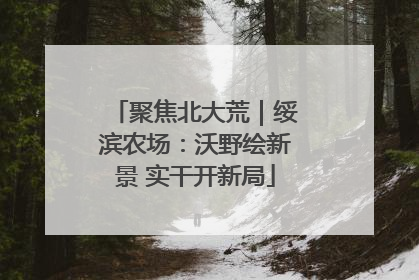 聚焦北大荒｜绥滨农场：沃野绘新景 实干开新局