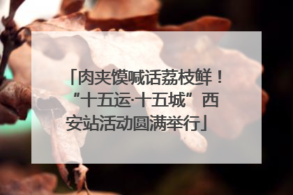肉夹馍喊话荔枝鲜！“十五运·十五城”西安站活动圆满举行
