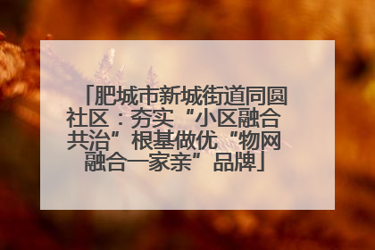肥城市新城街道同圆社区：夯实“小区融合共治”根基做优“物网融合一家亲”品牌