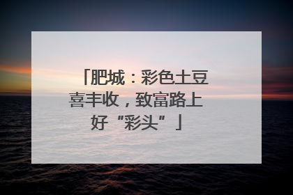 肥城：彩色土豆喜丰收，致富路上好“彩头”