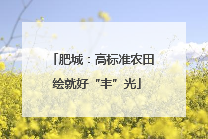 肥城：高标准农田绘就好“丰”光