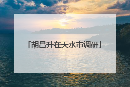 胡昌升在天水市调研