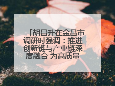 胡昌升在金昌市调研时强调：推进创新链与产业链深度融合 为高质量发展塑造新动能新优势