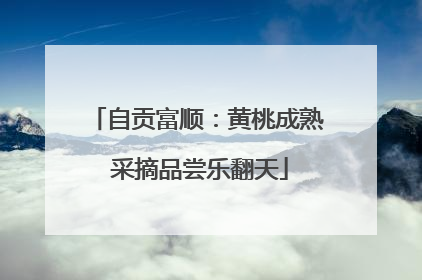 自贡富顺：黄桃成熟 采摘品尝乐翻天