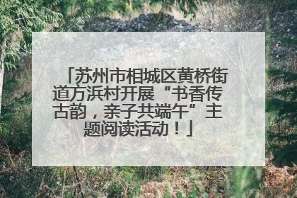 苏州市相城区黄桥街道方浜村开展“书香传古韵，亲子共端午”主题阅读活动！