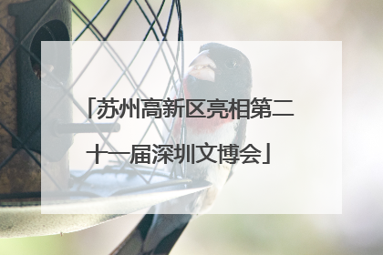 苏州高新区亮相第二十一届深圳文博会