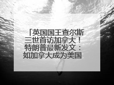 英国国王查尔斯三世首访加拿大！特朗普最新发文：如加拿大成为美国第51州可免费用“金穹”