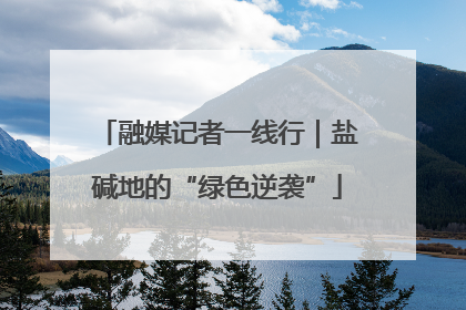 融媒记者一线行｜盐碱地的“绿色逆袭”