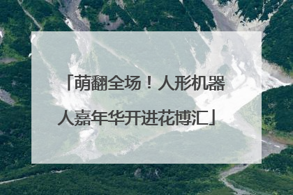 萌翻全场！人形机器人嘉年华开进花博汇